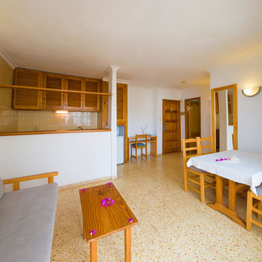 https://www.apartamentosbonsol-ibiza.com/wp-content/uploads/2016/10/miniatura-2-540x540.jpg