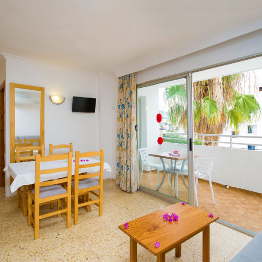 https://www.apartamentosbonsol-ibiza.com/wp-content/uploads/2016/10/miniatura-3-540x540.jpg