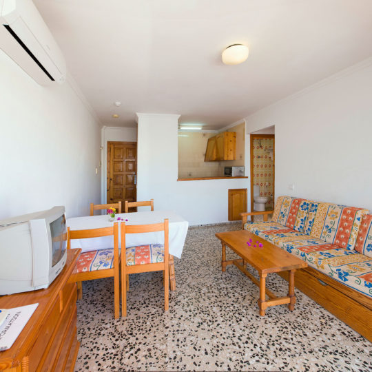 https://www.apartamentosbonsol-ibiza.com/wp-content/uploads/2016/10/miniatura-5-1-540x540.jpg