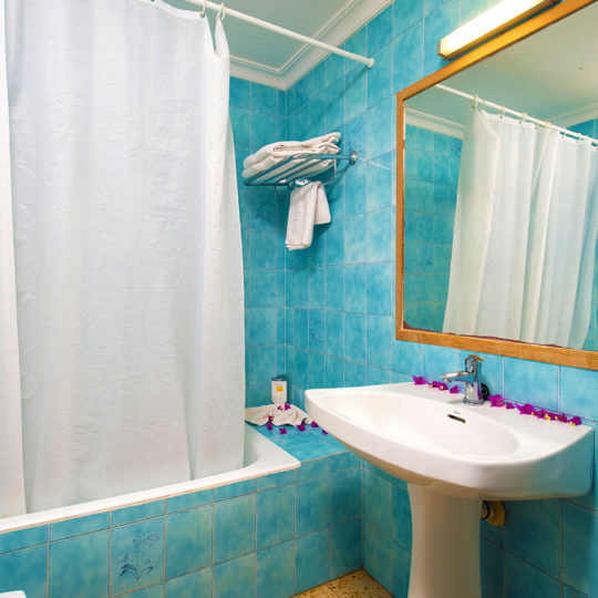 https://www.apartamentosbonsol-ibiza.com/wp-content/uploads/2016/10/miniatura-5-540x540.jpg