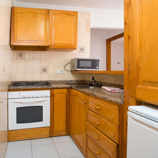https://www.apartamentosbonsol-ibiza.com/wp-content/uploads/2016/10/miniatura-7-540x540.jpg