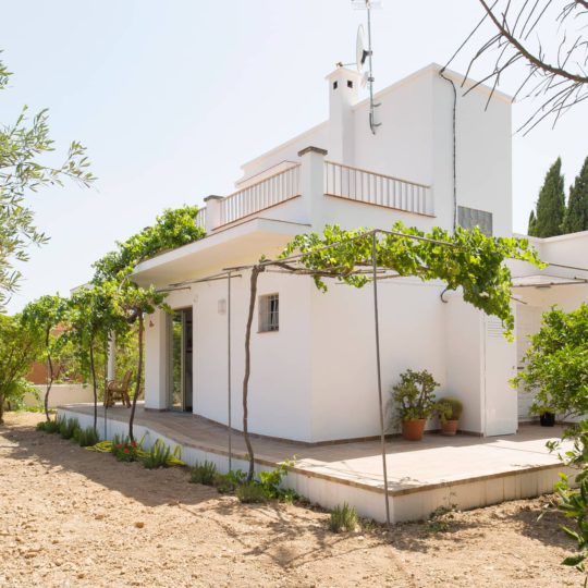 https://www.apartamentosbonsol-ibiza.com/wp-content/uploads/2019/02/MINIATURA-1-540x540.jpg