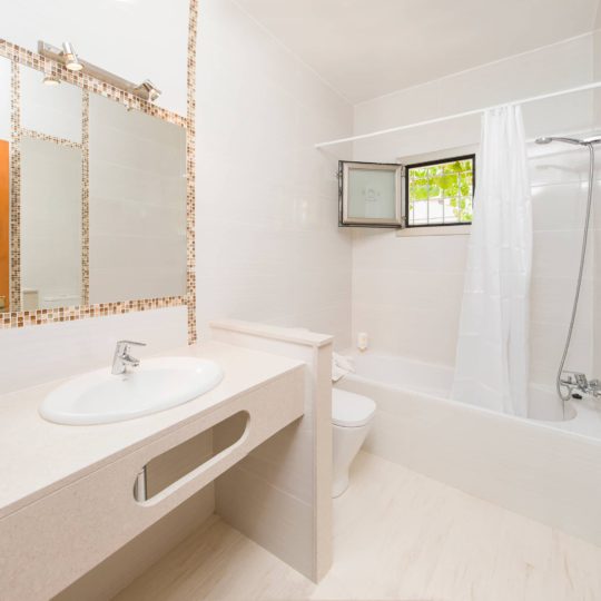 https://www.apartamentosbonsol-ibiza.com/wp-content/uploads/2019/02/MINIATURA-8-540x540.jpg