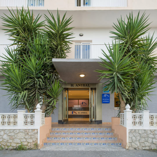 https://www.apartamentosbonsol-ibiza.com/wp-content/uploads/2020/02/FOTO-6-540x540.jpg